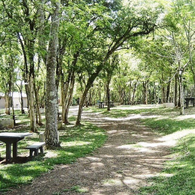 Área arborizada com mesas e caminhos no Recanto Mata Nativa