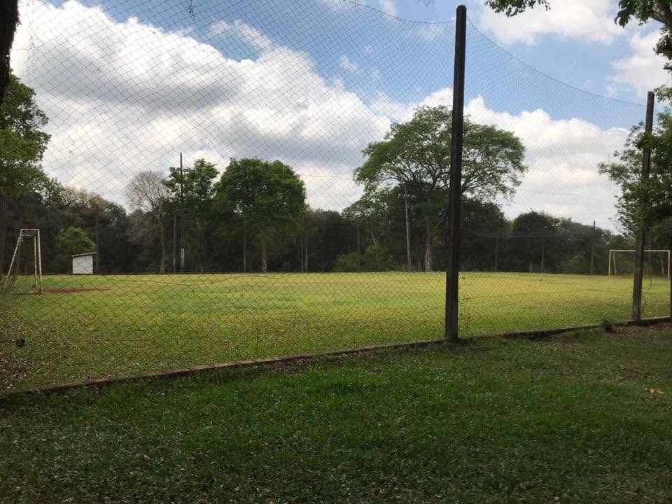 Campo suico cercado por arvores